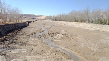 DSCF6285.jpg