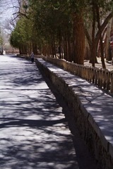 IMGP0685.jpg