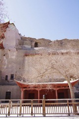 IMGP0712.jpg