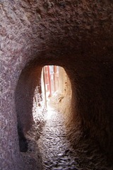 IMGP0113.jpg