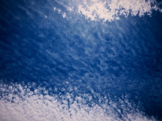 5CB38C4F-9245-49FC-A667-92906B4A5D17/L0/001