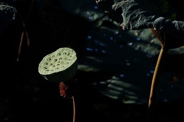 3091421