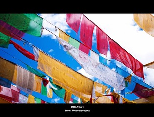 DSC02117副本.jpg