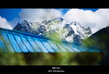 DSC02168副本.jpg