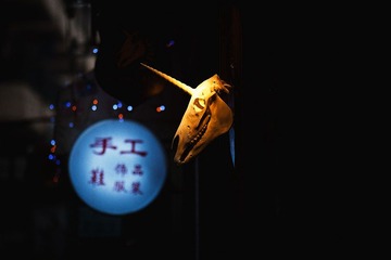 骷髏