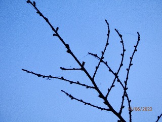 7844C0D7-ED7D-457E-902D-18D5C802D57C/L0/001