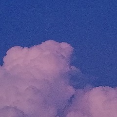 30509
