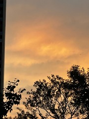 85923025-3CE6-4AB6-B366-DAAE7B0FBDF0/L0/001