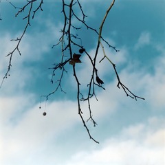 851E059A-52BE-4FC5-B962-1161245C7EBD/L0/001
