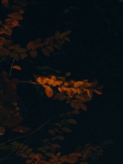1000008789