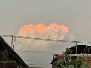 D2445B18-84D1-431C-9FFB-EC79A5B0EAE1/L0/001