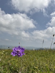 4543444C-AEED-40D5-AC0B-C23C0FA59CB6/L0/001