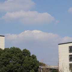 744E89F5-0E9F-44BF-AC6F-8F2BDB0782CC/L0/001