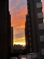 C9C8BBF3-7351-4015-AD89-DB9487B0BEA3/L0/001
