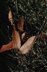 0C73DD75-1344-4F02-9FD5-D6DB892B411F/L0/001