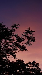 6884A363-26D2-4AD9-8DC9-A4187903E606/L0/001