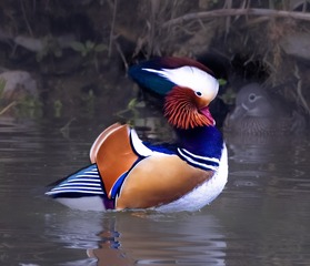 12561