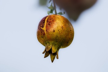 12056