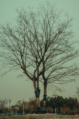 C78D7A9C-7BAB-4992-9C8F-BCD9149B062D/L0/001