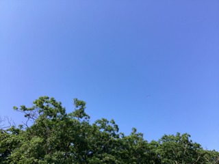 13E30F07-73C8-4B04-99C3-0BC0E87EAF99/L0/001