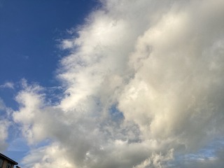 06094F83-FDDD-43A1-A9B5-A13EB7DB5C83/L0/001