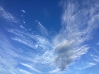 8569D288-2E7B-481A-B639-8E1A8EAE001C/L0/001