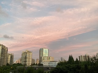 2497E944-6627-48B4-9C30-8E3B4E42D3D7/L0/001