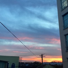 B154CDCD-98B1-442B-97E6-507F6F5DC879/L0/001