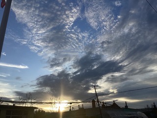 B187D035-998B-4D23-92CE-5A238DC8F688/L0/001