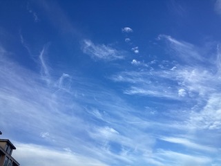 03F18A0F-AE71-4AD7-B2B0-19B5778E0237/L0/001
