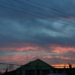 D3F7E829-4AE0-4EC3-88A5-62D693F96497/L0/001