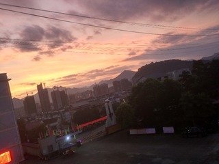 233725