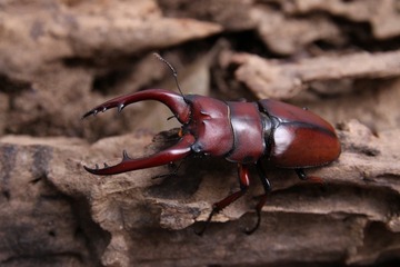 IMG_9747_调整大小