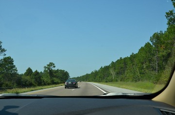 DSC_1955.jpg