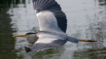367852