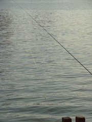 EDCF9FE7-3AB6-4218-9076-F077840FD28D/L0/001