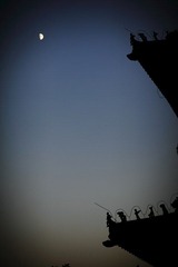 IMG_3507.JPG