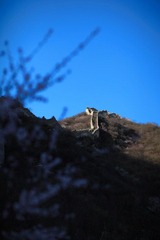 IMG_9917.JPG