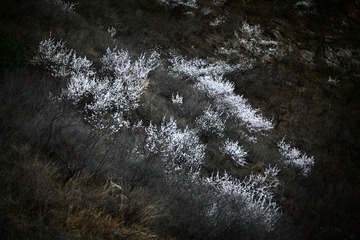 IMG_9949.JPG