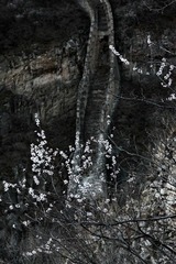IMG_9960.JPG