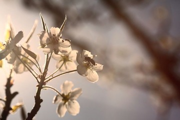 IMG_0348.JPG