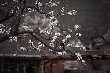 IMG_0276.JPG