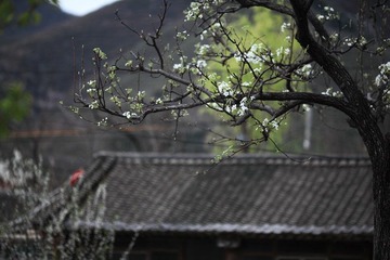 IMG_0279.JPG