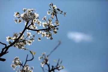 IMG_0337.JPG