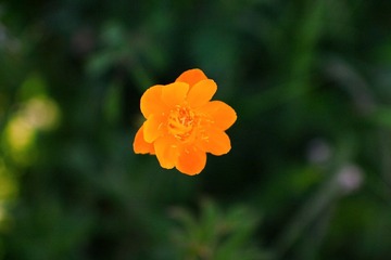 IMG_0043.JPG