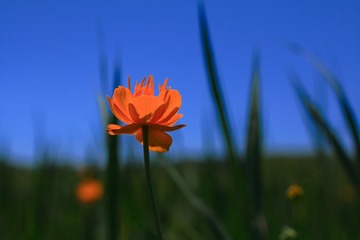 IMG_0135.JPG