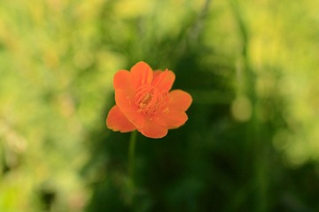 IMG_00401.JPG