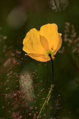 IMG_3091.JPG