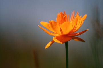 IMG_3198.JPG
