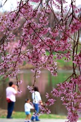 春暖花要开